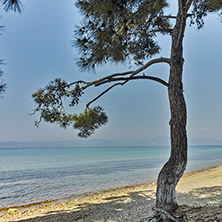 Beach of Ormos Prinou, Thassos island, East Macedonia and Thrace, Greece