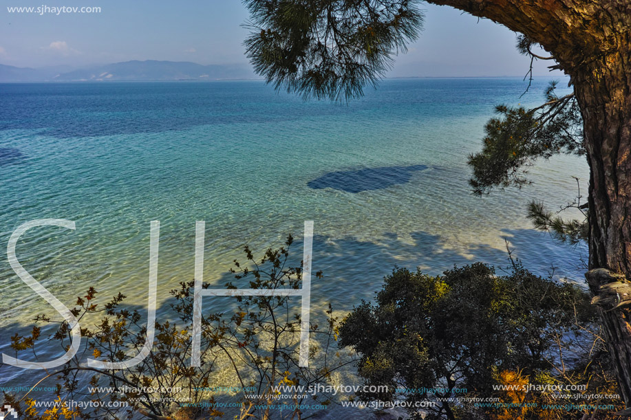 beach with blue waters in Thassos island, East Macedonia and Thrace, Greece
