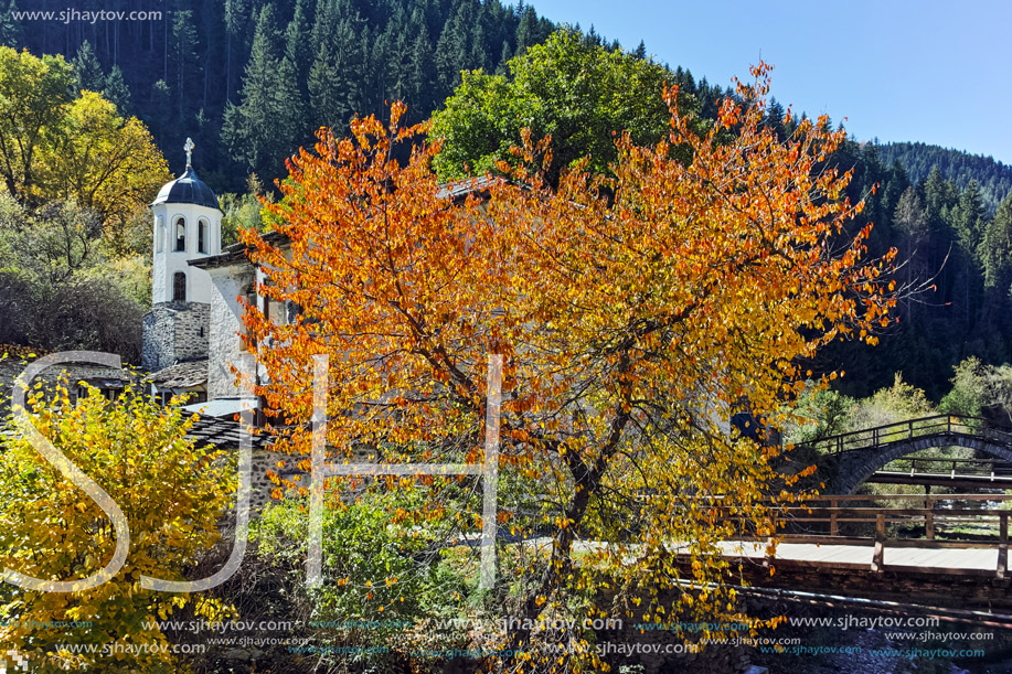 19th century Church of the Assumption, river and Autumn tree in town of Shiroka Laka, Smolyan Region, Bulgaria