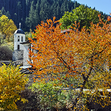 19th century Church of the Assumption, river and Autumn tree in town of Shiroka Laka, Smolyan Region, Bulgaria