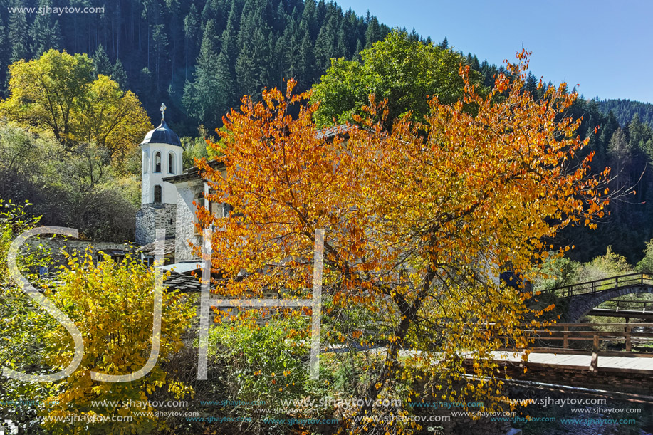 19th century Church of the Assumption, river and Autumn tree in town of Shiroka Laka, Smolyan Region, Bulgaria