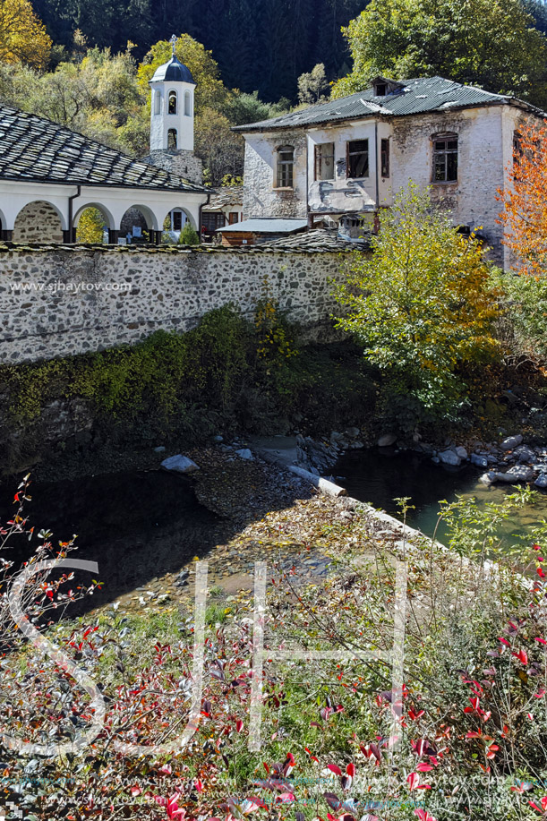 19th century Church of the Assumption, river and Autumn tree in town of Shiroka Laka, Smolyan Region, Bulgaria