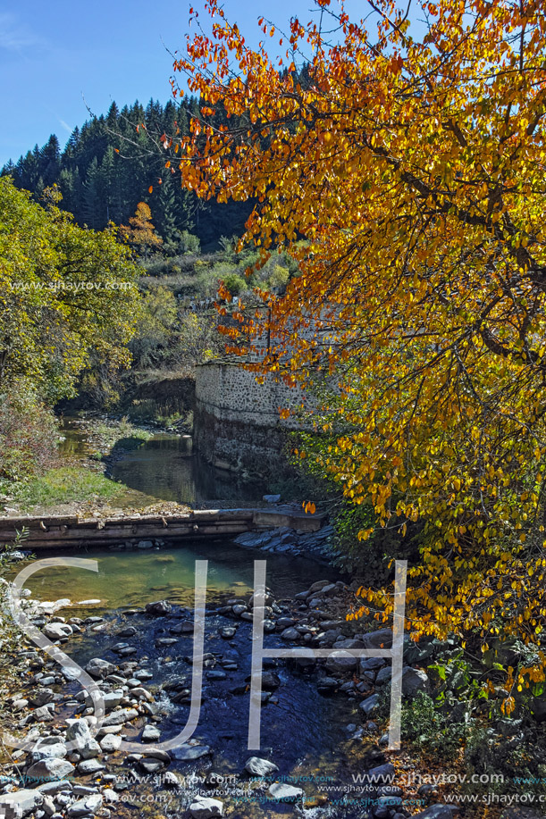 19th century Church of the Assumption, river and Autumn tree in town of Shiroka Laka, Smolyan Region, Bulgaria