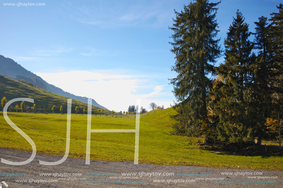 Green meadows above Lake Lucerne, near mount Rigi, Alps, Switzerland