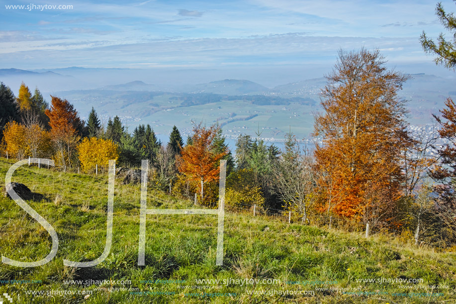 Green meadows above Lake Lucerne, near mount Rigi, Alps, Switzerland