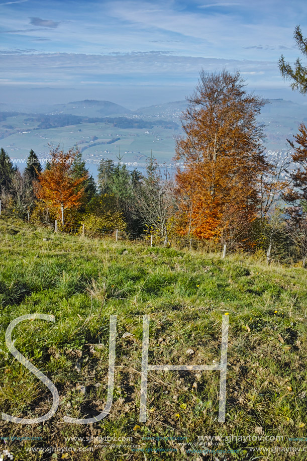 Green meadows above Lake Lucerne, near mount Rigi, Alps, Switzerland