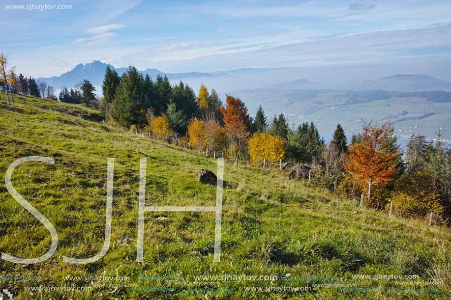 Green meadows above Lake Lucerne, near mount Rigi, Alps, Switzerland