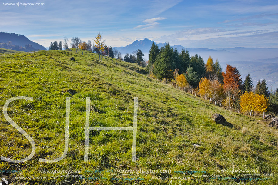 Green meadows above Lake Lucerne, near mount Rigi, Alps, Switzerland