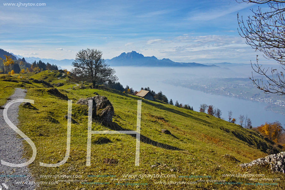 Green meadows above Lake Lucerne, near mount Rigi, Alps, Switzerland