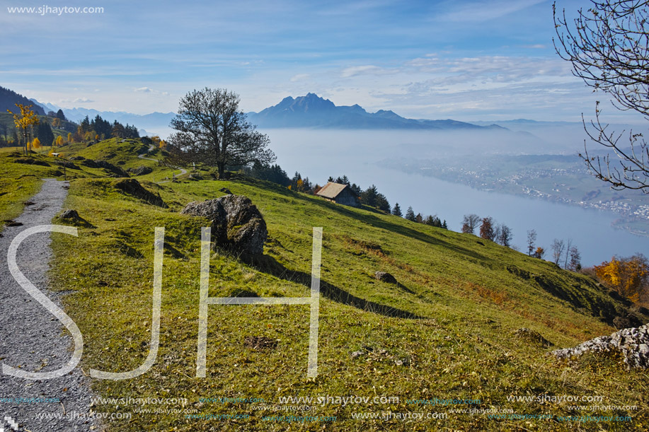 Green meadows above Lake Lucerne, near mount Rigi, Alps, Switzerland