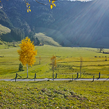 Green meadows above Lake Lucerne, near mount Rigi, Alps, Switzerland