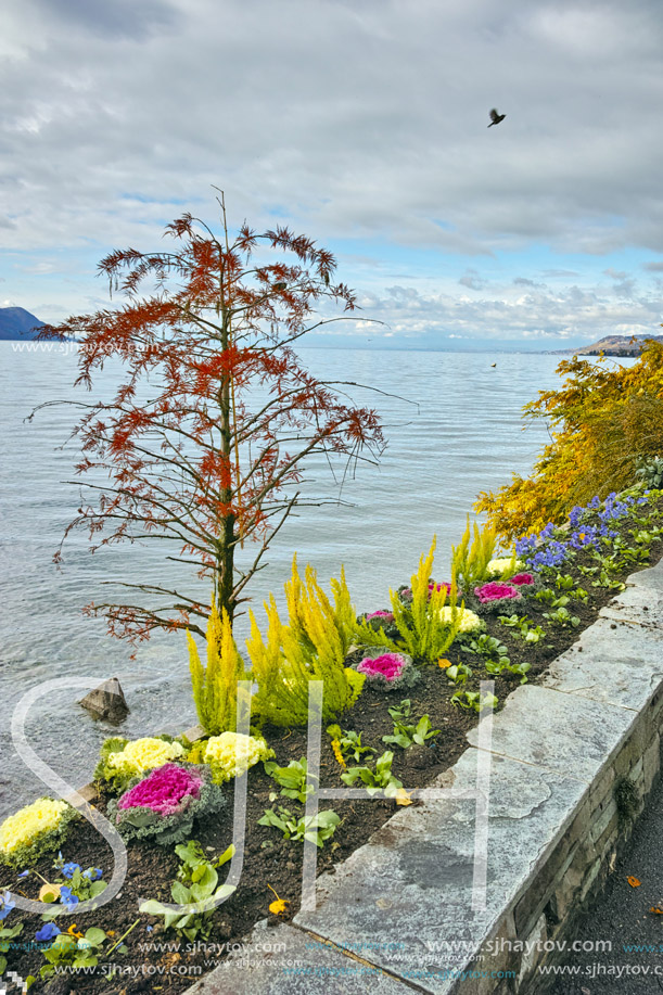 Autumn view of embankment of Montereux, canton of Vaud, Switzerland