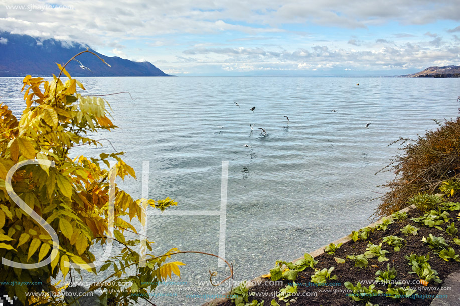 Autumn view of embankment of Montereux, canton of Vaud, Switzerland