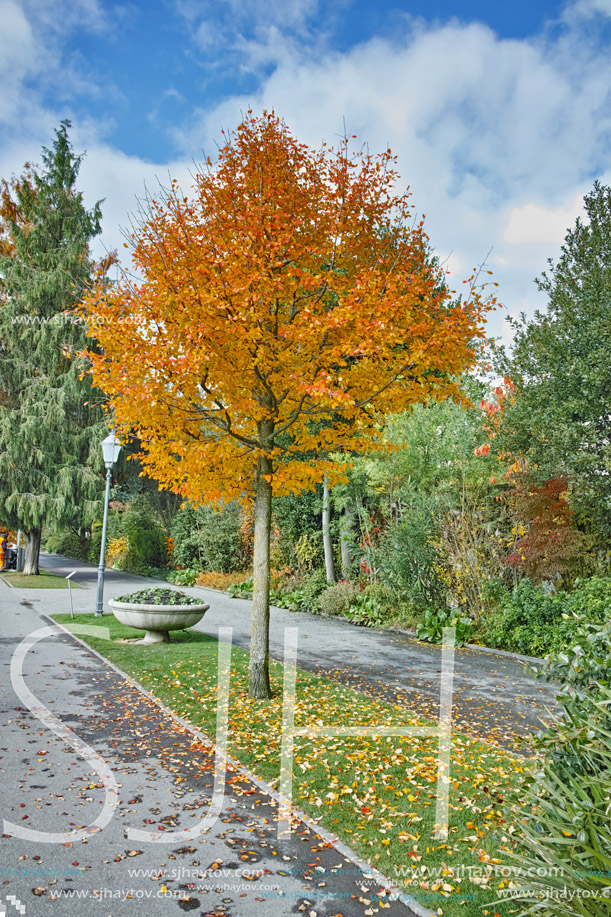 Autumn view of embankment of Montereux, canton of Vaud, Switzerland