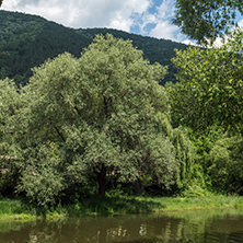 Amazing Summer Landscape of Pancharevo lake, Sofia city Region, Bulgaria