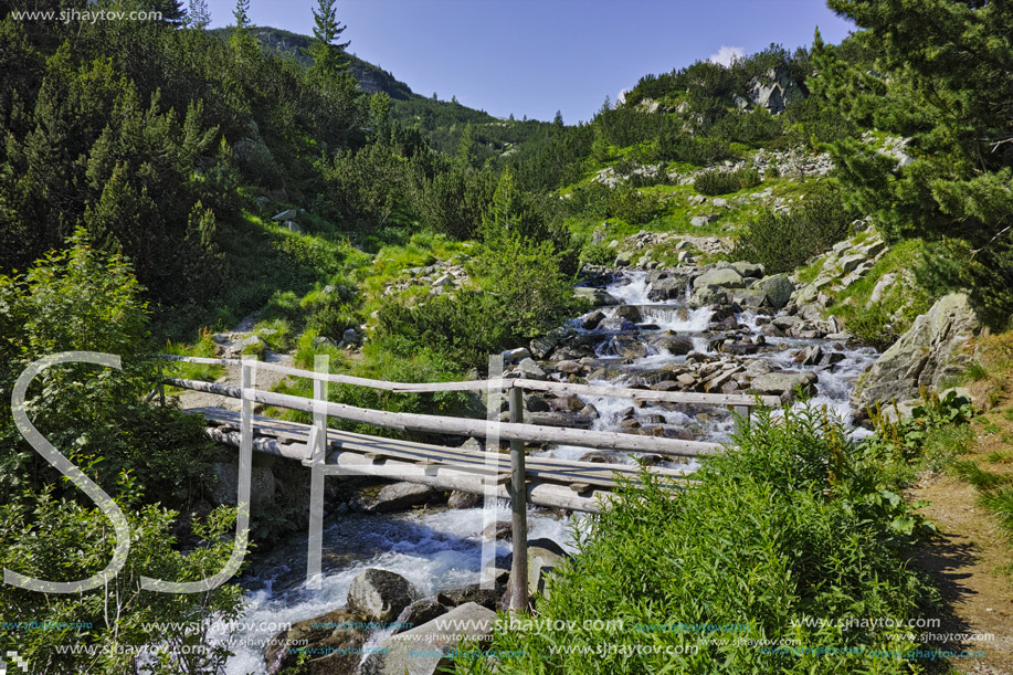 Mountain river and wooden bridge, Pirin Mountain, Bulgaria