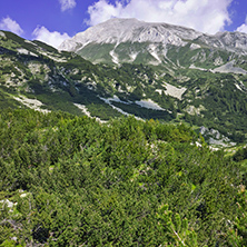 Green hills and Vihren peak,  Pirin Mountain, Bulgaria