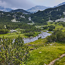 Landscape with River with clean waters,  Pirin Mountain, Bulgaria