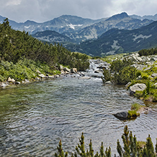 Landscape with River with clean waters,  Pirin Mountain, Bulgaria