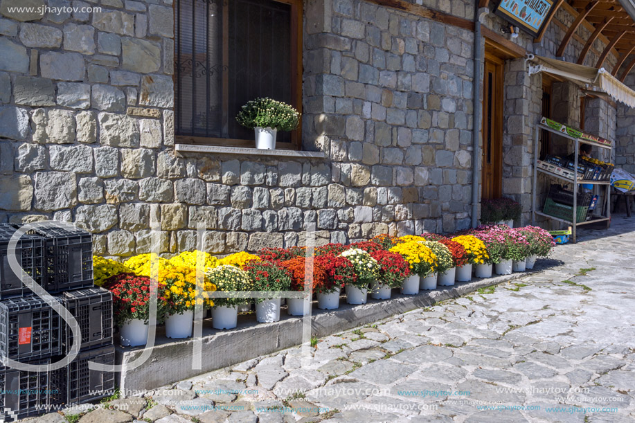 METSOVO, EPIRUS, GREECE - OCTOBER 19 2013: Panoramic view of village of Metsovo near city of Ioannina, Epirus Region, Greece