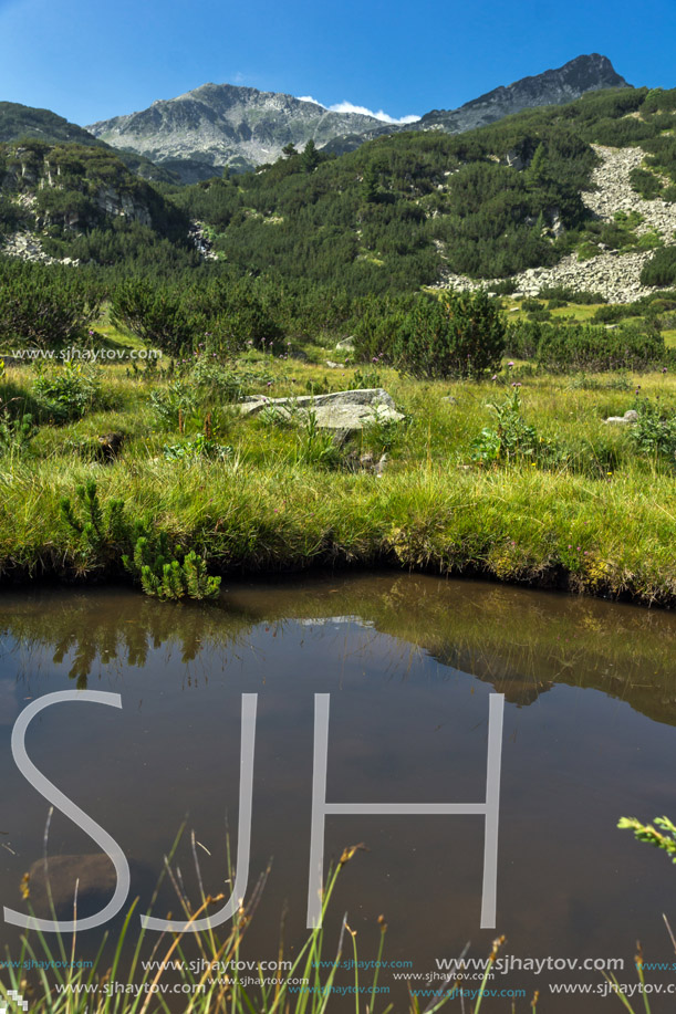 Panoramic view of Banderishki Chukar Peak and mountain river, Pirin Mountain, Bulgaria