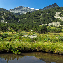 Panoramic view of Banderishki Chukar Peak and mountain river, Pirin Mountain, Bulgaria