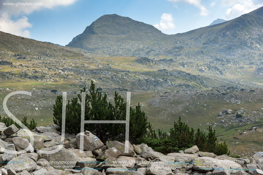 Amazing panorama to Spano pole, Pirin Mountain, Bulgaria