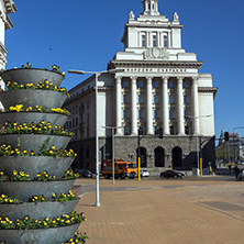 SOFIA, BULGARIA - APRIL 1, 2017: Building of Former Communist Party House in Sofia, Bulgaria