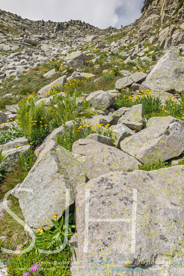 Amazing Landscape from Banderitsa pass, Pirin Mountain, Bulgaria