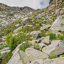 Amazing Landscape from Banderitsa pass, Pirin Mountain, Bulgaria
