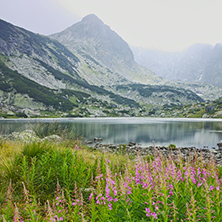 Amazing Landscape of The Fish lake, The Seven Rila Lakes, Bulgaria