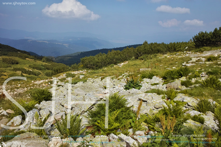 Amazing Landscape near The Seven Rila Lakes, Bulgaria