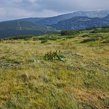 Amazing Landscape near The Seven Rila Lakes, Bulgaria