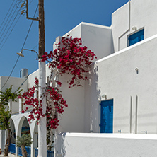 Typical street in town of Naoussa, Paros island, Cyclades, Greece