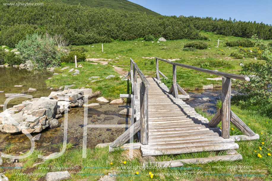 Landscape with wooden bridge over river in Pirin Mountain near Bezbog lake, Bulgaria