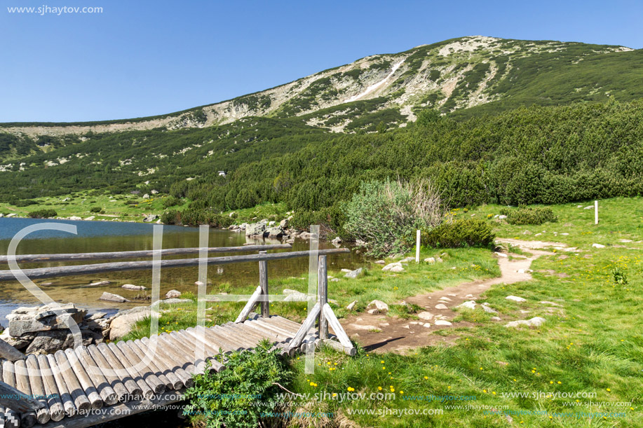 Landscape with wooden bridge over river in Pirin Mountain near Bezbog lake, Bulgaria