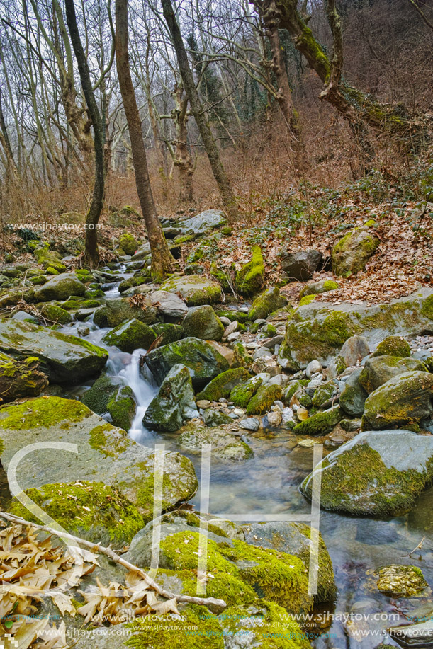 Amazing view of Crazy Mary River, Belasitsa Mountain, Bulgaria