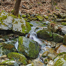 Amazing view of Crazy Mary River, Belasitsa Mountain, Bulgaria