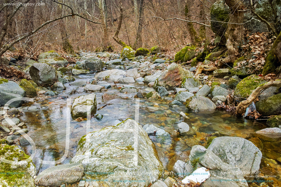 Amazing view of Crazy Mary River, Belasitsa Mountain, Bulgaria