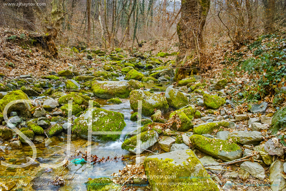 Amazing view of Crazy Mary River, Belasitsa Mountain, Bulgaria