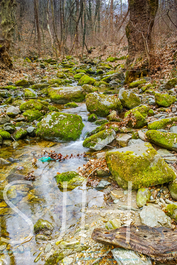 Amazing view of Crazy Mary River, Belasitsa Mountain, Bulgaria