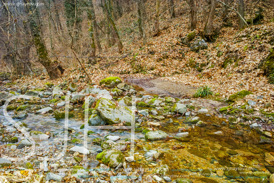 Amazing view of Crazy Mary River, Belasitsa Mountain, Bulgaria