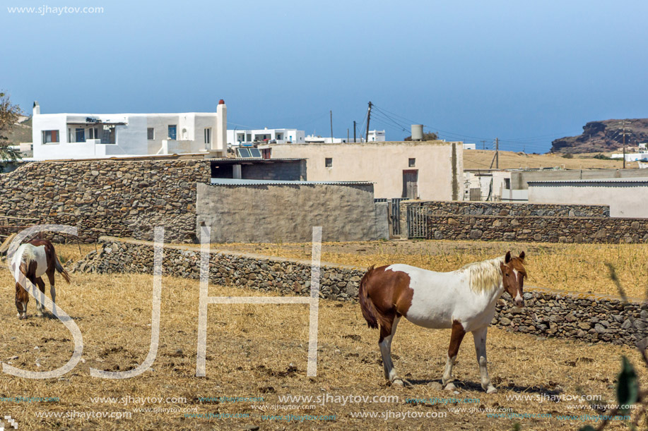 Rural landscape in island of Mykonos, Cyclades, Greece