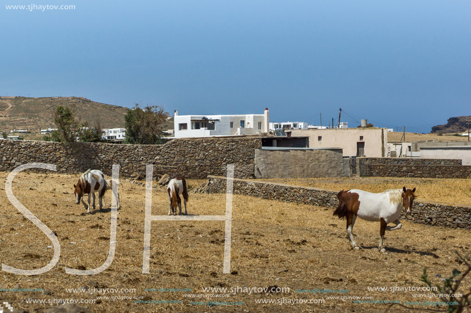 Rural landscape in island of Mykonos, Cyclades, Greece