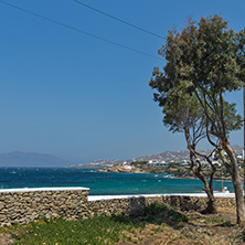 Amazing view of beach in Mykonos, Cyclades Islands, Greece