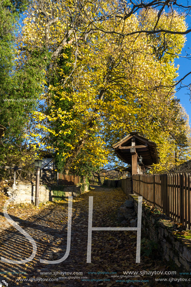 BOZHENTSI, BULGARIA - OCTOBER 29 2016:   Street with autumn trees in village of Bozhentsi, Gabrovo region, Bulgaria