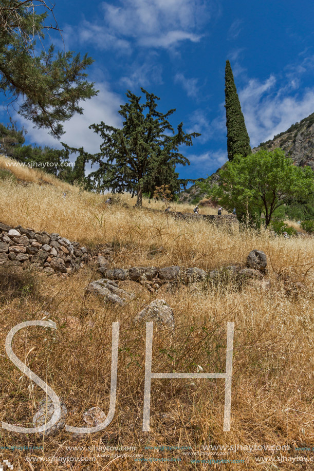 Amazing Panorama of Amphitheatre in Ancient Greek archaeological site of Delphi, Central Greece