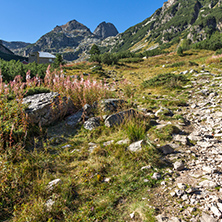 Landscape with Trail to climbing Malyovitsa peak, Rila Mountain, Bulgaria