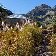 Landscape with Trail to climbing Malyovitsa peak, Rila Mountain, Bulgaria