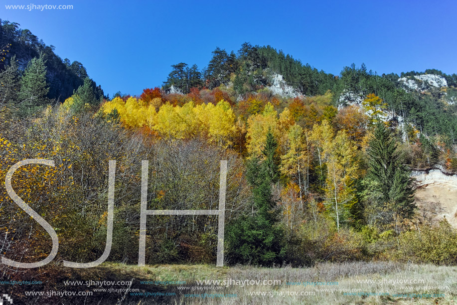 Panoramic Autumn view of Buynovsko gorge, Rhodope Mountains, Bulgaria